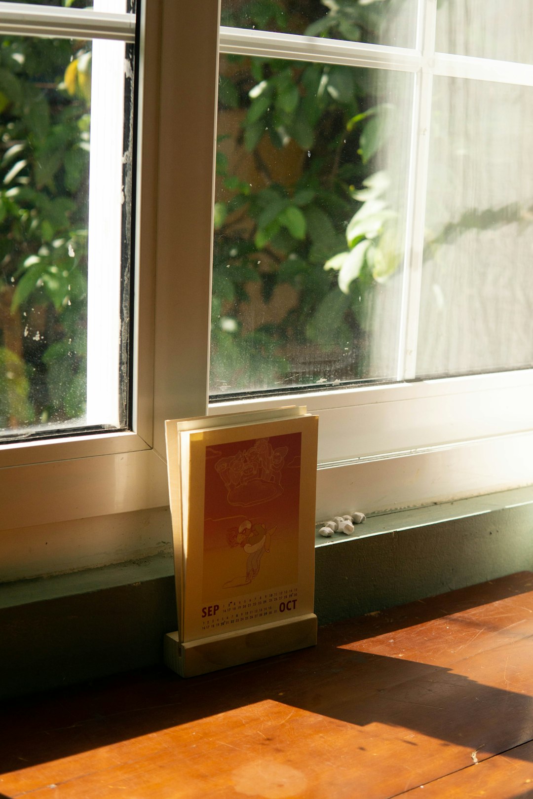 자외선차단제, 제대로 고르고 있나요? 성분부터 사용법까지