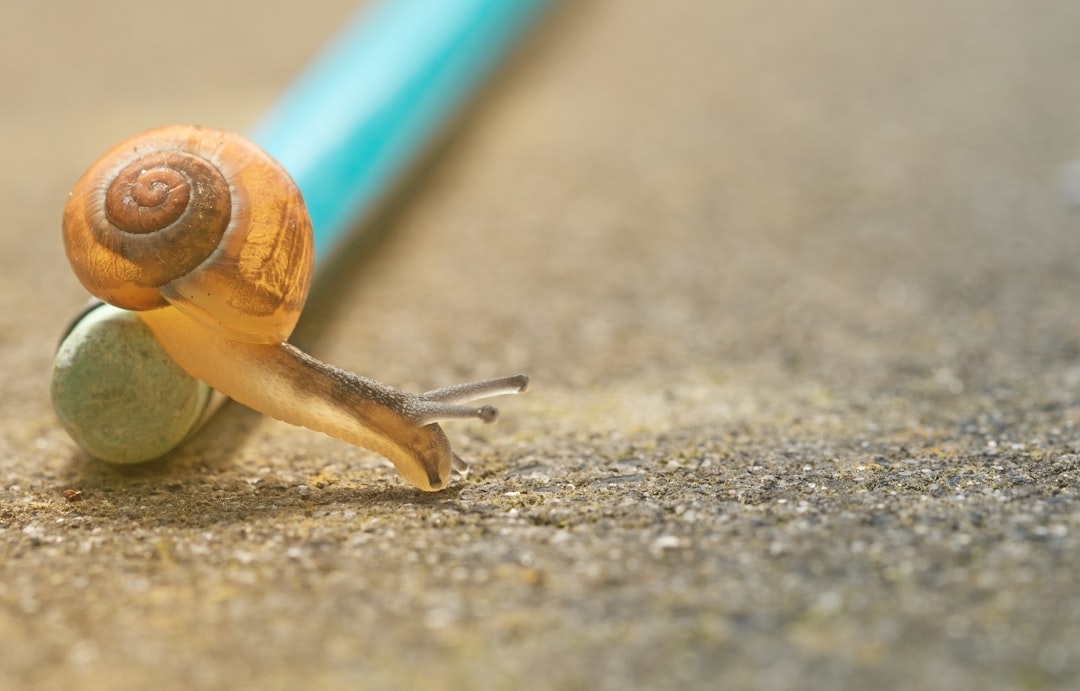 Slow Beauty Routine: 7 Proven Ways for Ultimate Radiant Transformation