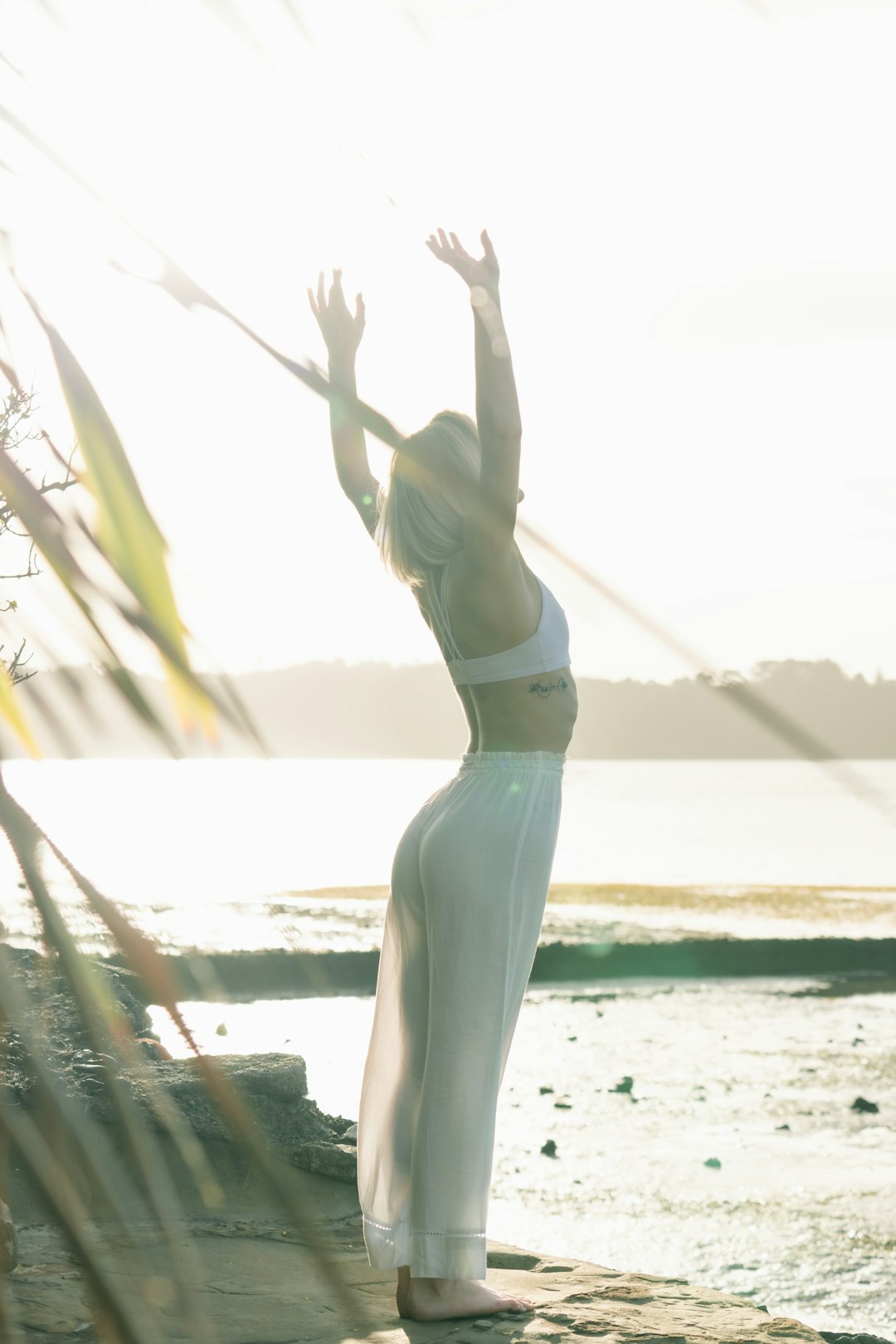Free Wellness Habits: 2 Proven Ways for Amazing Skin Without Expensive Routines