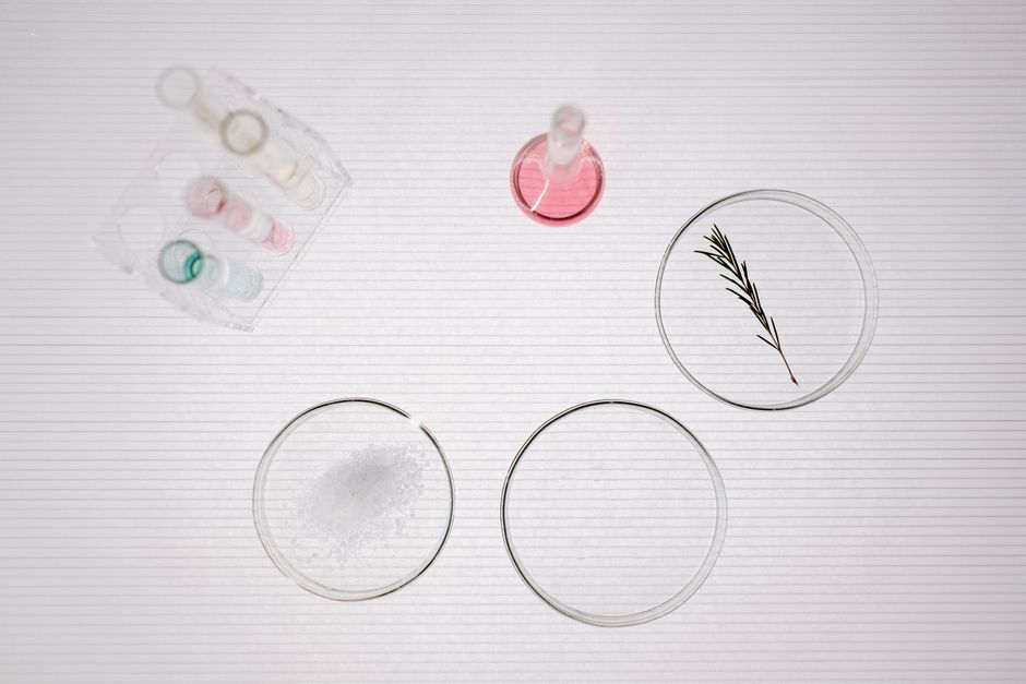 Clean Beauty Ingredients: 3 Proven Ways to Read Labels for Amazing Skin in Your 30s